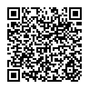 QR Code for The Limits to Growth