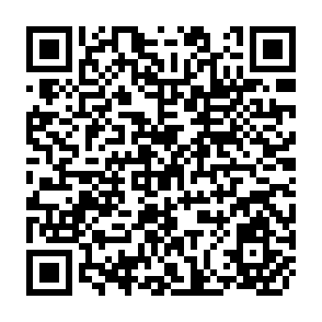 QR Code for On Economic Inequality