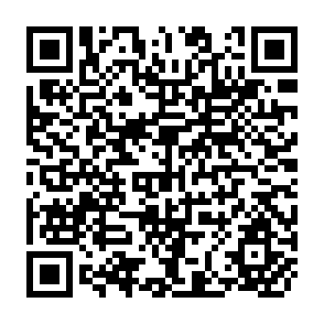QR Code for Agriculural Research Organization in the Development World: Diversity and Evolution