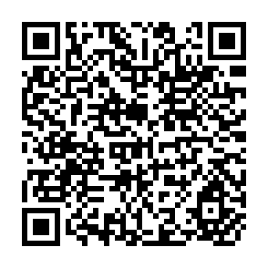 QR Code for some Practical Guidelines for Evaluation within National Agricultural Research Systems Using The Chhecklist Approach