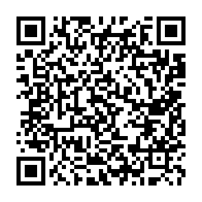 QR Code for An Approch to Long-Term Program Design