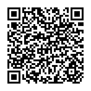 QR Code for Working to Strengthen national agricultural reseach systems