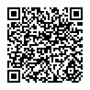 QR Code for World Development Report 1992