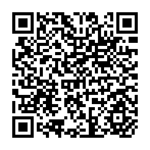 QR Code for From Rousseau to lenin