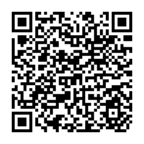 QR Code for Extending Research Results - How ?