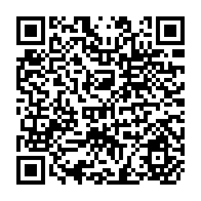 QR Code for Foreign Trade Statistics: A Guide to Their Use in Market Research