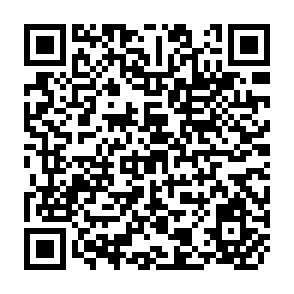QR Code for Protected Horticultural Systems in the Bolivian Andes: A Case study of NGOs and Inappropriate Technology