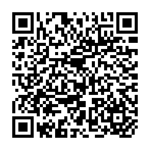 QR Code for Complementarities and tensions in NGO-State relations in agricultural development: The trajectory of Agraria(chile)