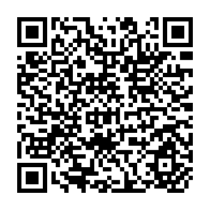 QR Code for Variation in Interventions, Variation in Results: Assistance to FMIS in Nepal