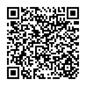QR Code for The New Rice in Indonesia
