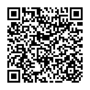 QR Code for Forestry Researchers