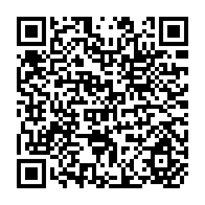QR Code for The Pillage of the Third World