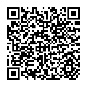 QR Code for The Accumulation of Capital