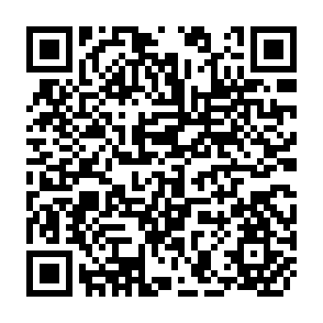 QR Code for The meaning of general theoretical sociology