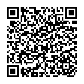 QR Code for The economic limits to modern politics