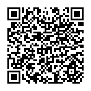 QR Code for The Role of IPNS in Sustainable and Environmentally Sound Agricultural Development