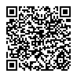 QR Code for External Constraints on Private Investment Decisions in Developing Countries