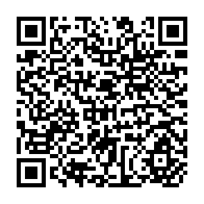 QR Code for Big Dams Displaced People