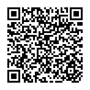 QR Code for The Political Economy of Forest Use and Management