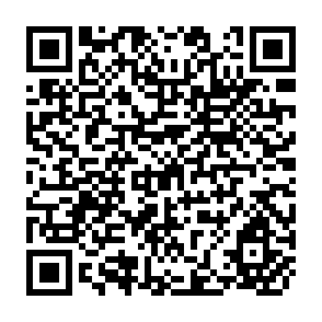QR Code for Labour Amborption, Employment and Productinity in the Indonesian Plantation Sector
