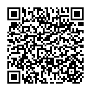 QR Code for Food and Nutrition Planning