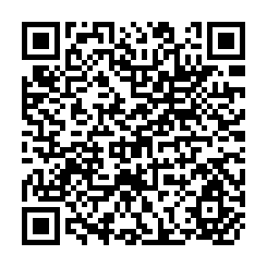 QR Code for Effect of Adoption of New Agricultural Technology on Credit Needs of Representative Farm Situations in Chitawan Valley, Nepal