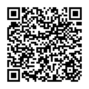 QR Code for Agrominerals: Carbonatites and Lgneous Phosphates as Fertilizers for Direct Application
