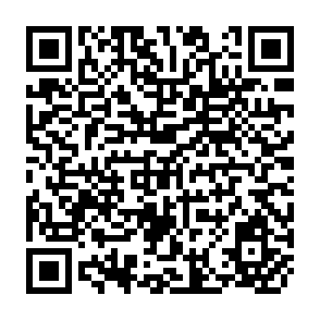QR Code for Agrarian Structure in Latin America