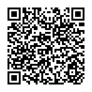 QR Code for The Dunkel Draft Design for Disaster