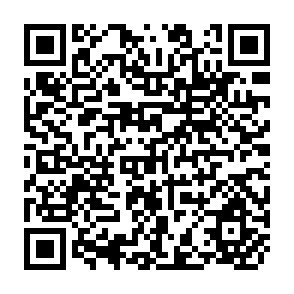 QR Code for Draft Final Act Embodying the Results of the Uruguag Round of Multilateral Trade Negotiations