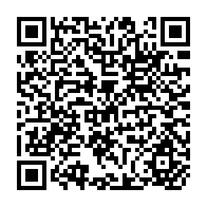 QR Code for Adjustment and Liberalization in the Third World
