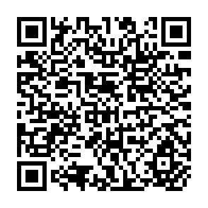 QR Code for On Economic Theory and Socialism : Collected Papers