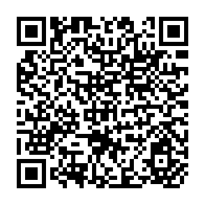 QR Code for Macrosocial accounting for municipalities in the Philippines:Rural banks and credit cooperatives