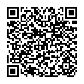 QR Code for The Urban Informal Sector In Asia: An Annotated Bibliography