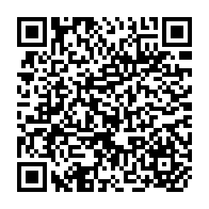 QR Code for Special report of the director-general on the appication of the declaration concerning action against apartheid in south africa