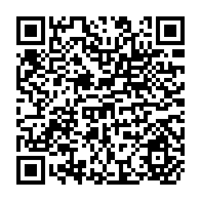 QR Code for Diagnosing Management Training and Development Needs: Concepts and Techniques
