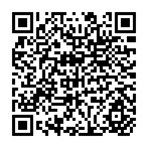 QR Code for Small Enterprise Development: Policies and Programs