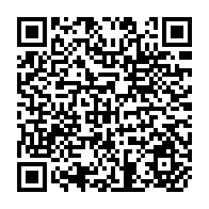 QR Code for Stratergic Management of Development Programs