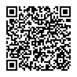 QR Code for Development and Economic Policy in the UAR(Egypt)