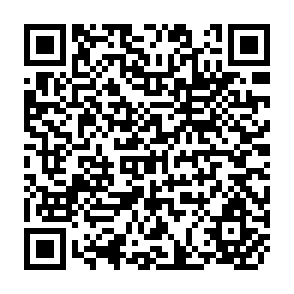 QR Code for Thinking about the Future- A Critique of the Limits to grow