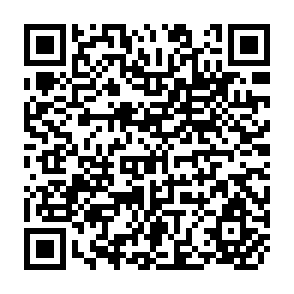 QR Code for Odious Debts Loose Lending, Corruption and the Third World's Enviromental Legacy
