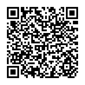 QR Code for Empire of Chaos