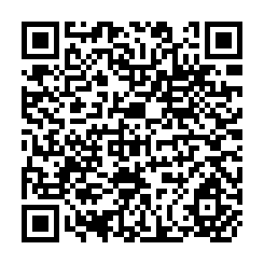 QR Code for Dragons in Distress : Asia's Miracle Economies in Crisis