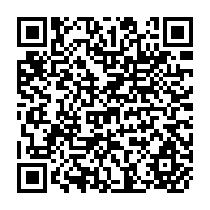 QR Code for The Origins of Economic Inequality Between Nations