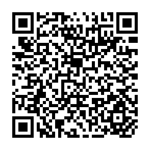 QR Code for The Winged Bean A High-Protein Crop for the Tropics
