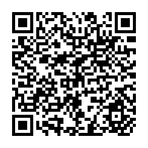QR Code for The Uruguay Round and Third World Sovereignty