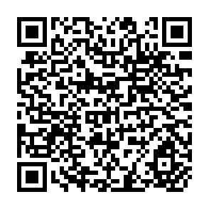 QR Code for Toxic Terror- Dumoing of Hazardous Wastes in the Third World