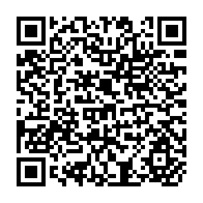 QR Code for Ilocano Rice Farmers