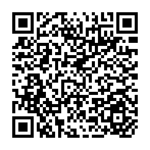 QR Code for Implementation Programme 1973