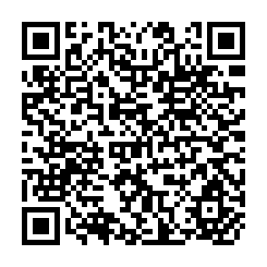 QR Code for World Develoment: An Introductoury Reader: Raising basic questions of Social Justice and Challenging some Common myths